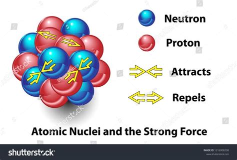 Strong Force In The Nucleus Of An Atom This Science Diagram Shows The Force That Repels And