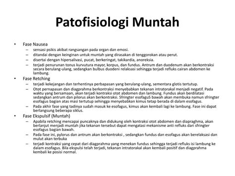 PPT - MUNTAH PowerPoint Presentation, free download - ID:2145068