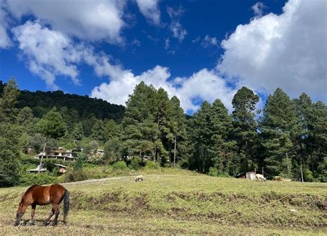 Terreno en venta en Los Saúcos Valle de Bravo Lamudi mx