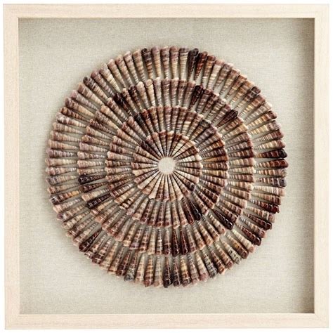 Newhill Designs Sea Shell Circles 23 12 Square Framed Wall Art