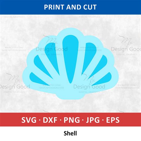 Seashells Svg Sea Shells Svg Shells Svg File Beautiful Etsy