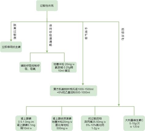 过敏性休克抢救流程图迅捷画图，在线制作流程图