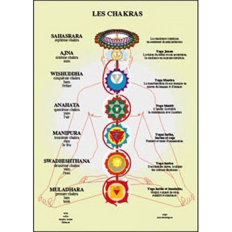 Planche Des Chakras A4 Planche A4 Amazon Co Uk Van Baarle Jan