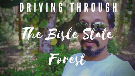 Driving Through The Bisle State Forest YouTube