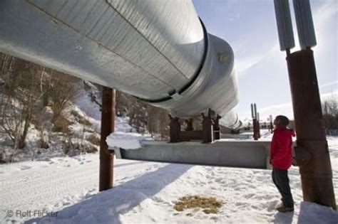 Tourist Looking At Alaska Oil Pipeline | Photo, Information