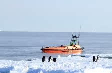 M80 USV Conducts The Underwater Topographic Survey In The Antarctica