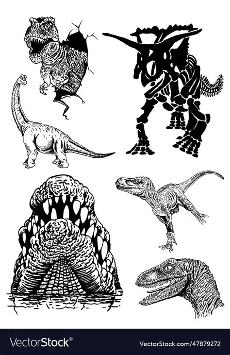 Graphical Big Set Of Dinosaurs Isolated On White Vector Image