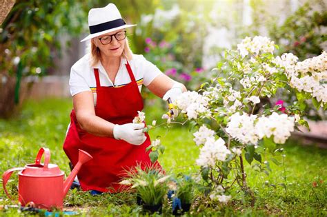 Lavori Cruciali Da Fare Adesso Per Preparare Il Tuo Giardino Alla