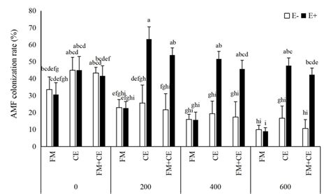 Figure From Interactive Effects Of Epichlo Endophytes And Arbuscular