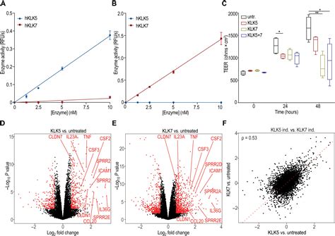 Dual Antibody Inhibition Of KLK5 And KLK7 For Netherton Syndrome And