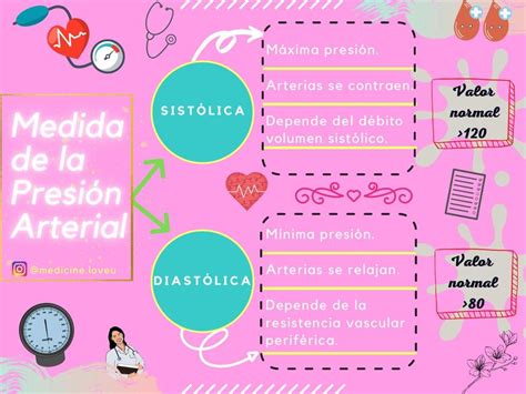 Presión Arterial Salud Apuntes De Medicina Udocz