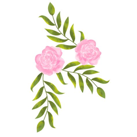 Pink Roses Watercolor Png Transparent Watercolor Rose Pink Floral