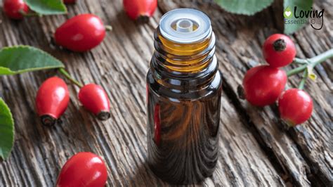 What Is Rosehip Essential Oil Is There Such An Oil Loving Essential Oils