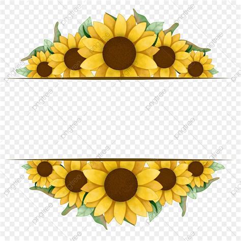 Marco De Girasol Acuarela Png Dibujos Girasol Flor Amarillo Png Y