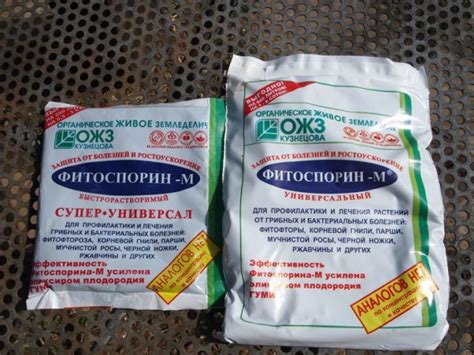 Оранжерии и оранжерии: класификация, описание, конструкция