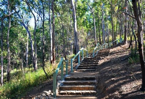 Bush Walks Must Do Brisbane