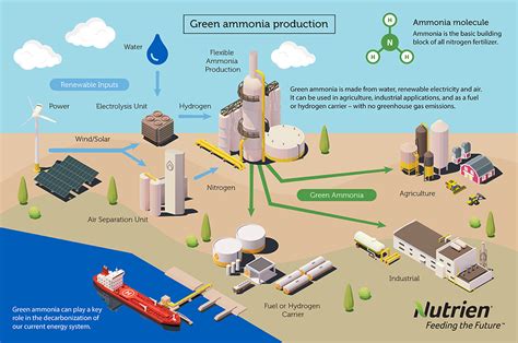 Collaboration Is Key To Our Blue And Green Ammonia Journey Nutrien