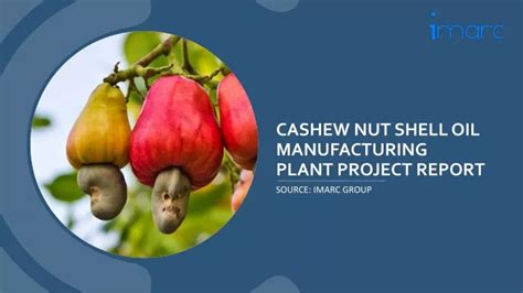 Ppt Cashew Nut Shell Oil Manufacturing Plant Report Complete Cost