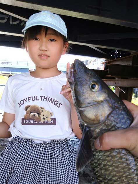 ドンコのドンちゃん さんの 2023年07月02日のコアユの釣り・釣果情報滋賀県 琵琶湖南湖 アングラーズ 釣果500万件の