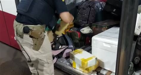 Homem é Preso Por Viajar Com 8 Kg De Maconha Em Mochila E Apresentar