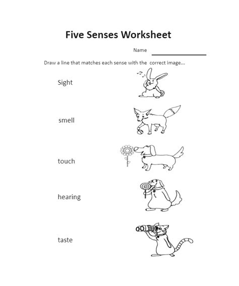 Science Worksheet For Kindergarten 3 Edrawmax Template