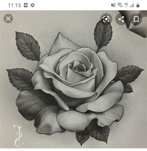 Dibujos A Lapiz Rosa Cómo Dibujar Un Rosa Paso A Paso Dibujo Fácil De Rosa