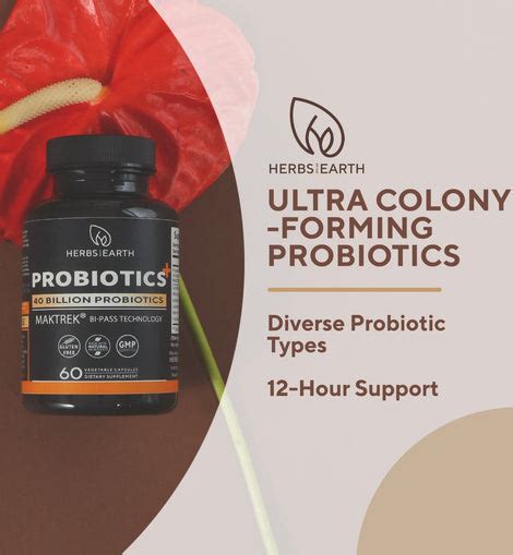 Probiotics 40 Billion Cfu With Lactobacillus Acidophilus 60 Capsules Herbs Of The Earth Plus