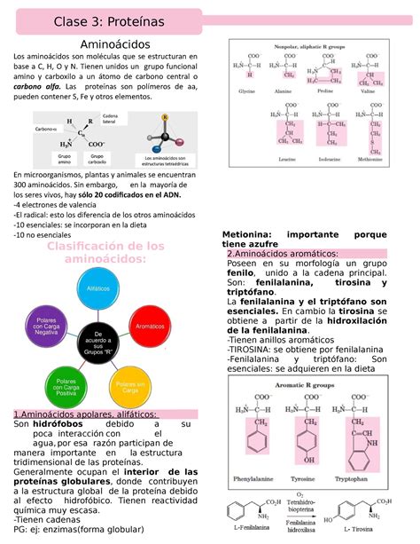 Bioqu Mica Prote Nas Amino Cidos Los Amino Cidos Son Mol Culas Que