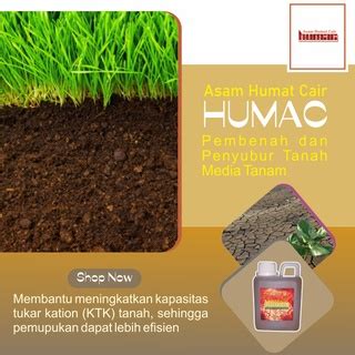 Jual Asam Humat Cair Terbaik Humac Ml Produk Pembenah Tanah Media