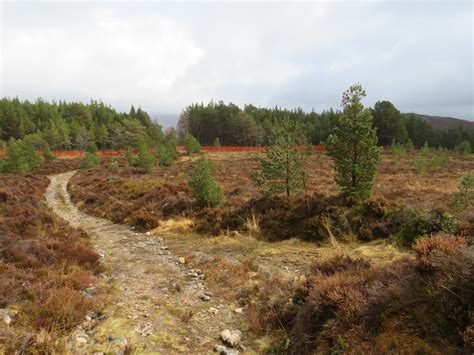 Track Across Moorland Near Aviemore Malc Mcdonald Geograph Britain