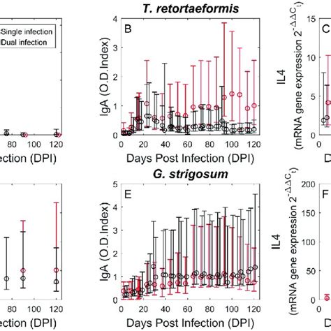 Experimental Data Of Single And Dual Infections Intensity Of Infection