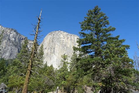 Fotos Gratis Paisaje Rbol Naturaleza Bosque Rock Desierto