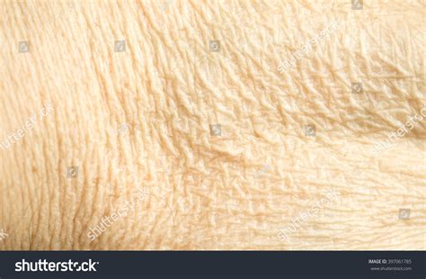 Close Human Hand Texture Background Stock Photo 397061785 Shutterstock