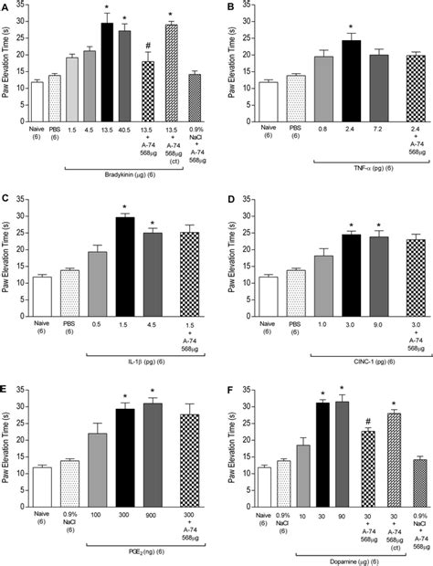 Effect Of P2 × 7 Receptor Antagonist On Bradykinin Tnf α Il 1β