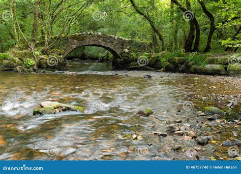 Forest Bridge And Stream Stock Photo Image Of Dartmoor 46757740