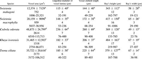 Quantitative Wood Anatomical Characters Of The Five Meliaceae Species