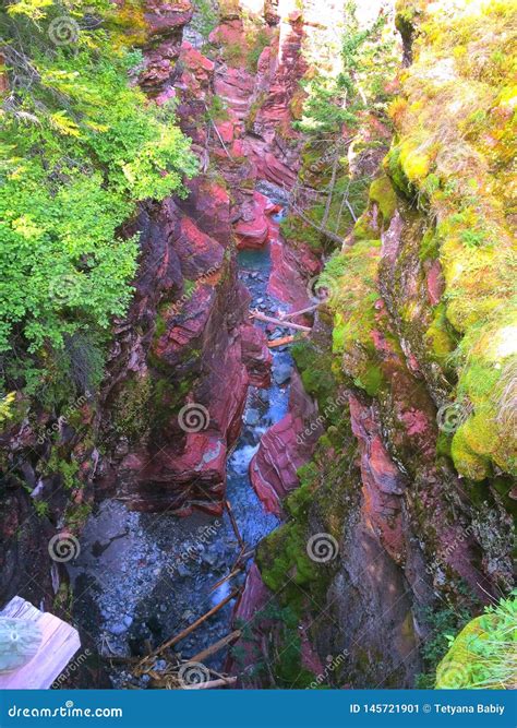 Parque Nacional De Waterton Garganta Vermelha Da Rocha Imagem De