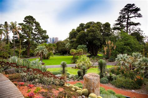 Download Melbourne Royal Botanic Gardens Wallpaper | Wallpapers.com