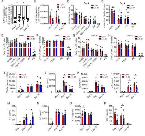 Pdf Cell Intrinsic Il Affects B Cell Differentiation And Antibody