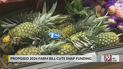 Proposed 2024 Farm Bill Cuts Snap Funding May 29 2024 News 19 At 6