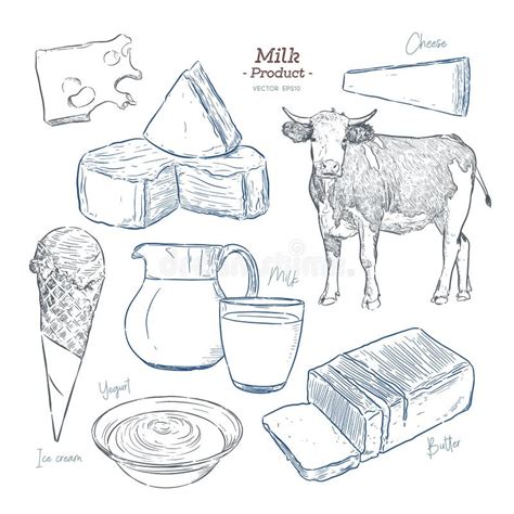 Hand Drawn Vector Sketch Dairy Products Set Vector Stock Vector