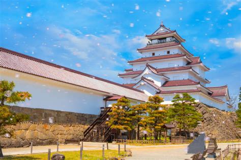 250+ Aizuwakamatsu Castle Stock Photos, Pictures & Royalty-Free Images ...