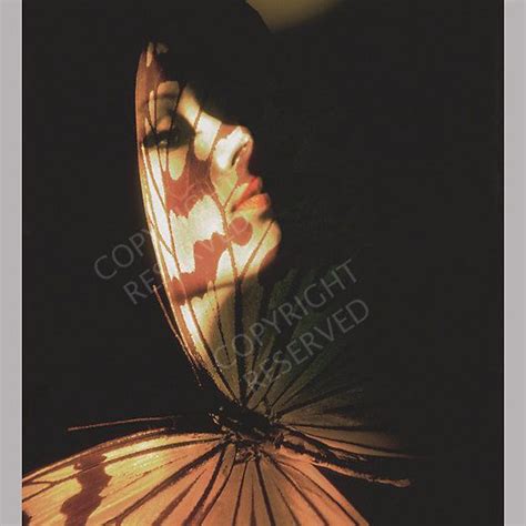 Madam Butterfly Nude Art Art Light Painting