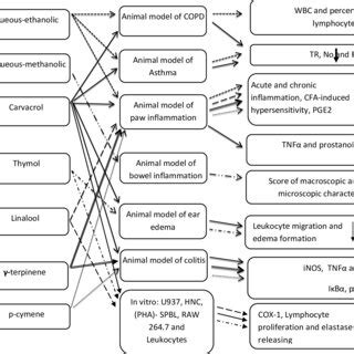 Anti Inflammatory Effects Of Different Extracts Of Z Multiflora And