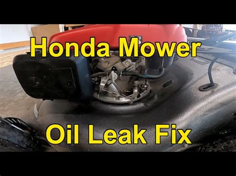 Honda Gxv530 Oil Leak Informacionpublica Svet Gob Gt