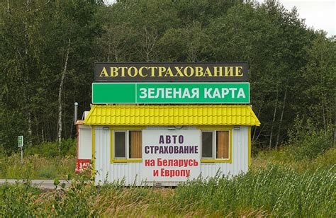 «Зеленые карты» россиян перестали работать в ЕС: что делать водителям?