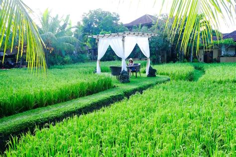 Bebek Tepi Sawah Ubud Diskon Sd 50 And Harga Promo