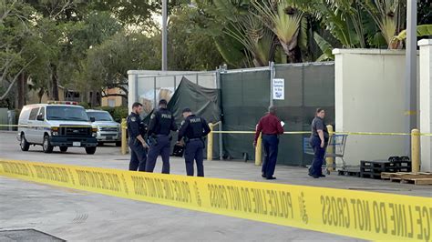 Dead Body Found Behind Coral Springs Walmart • Coral Springs Talk