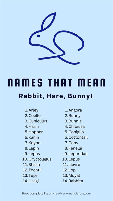 61 Creative Names That Mean Rabbit Hare Or Bunny