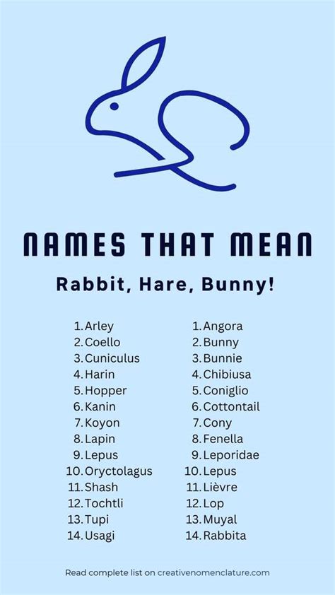 Creative Names That Mean Rabbit Hare Or Bunny